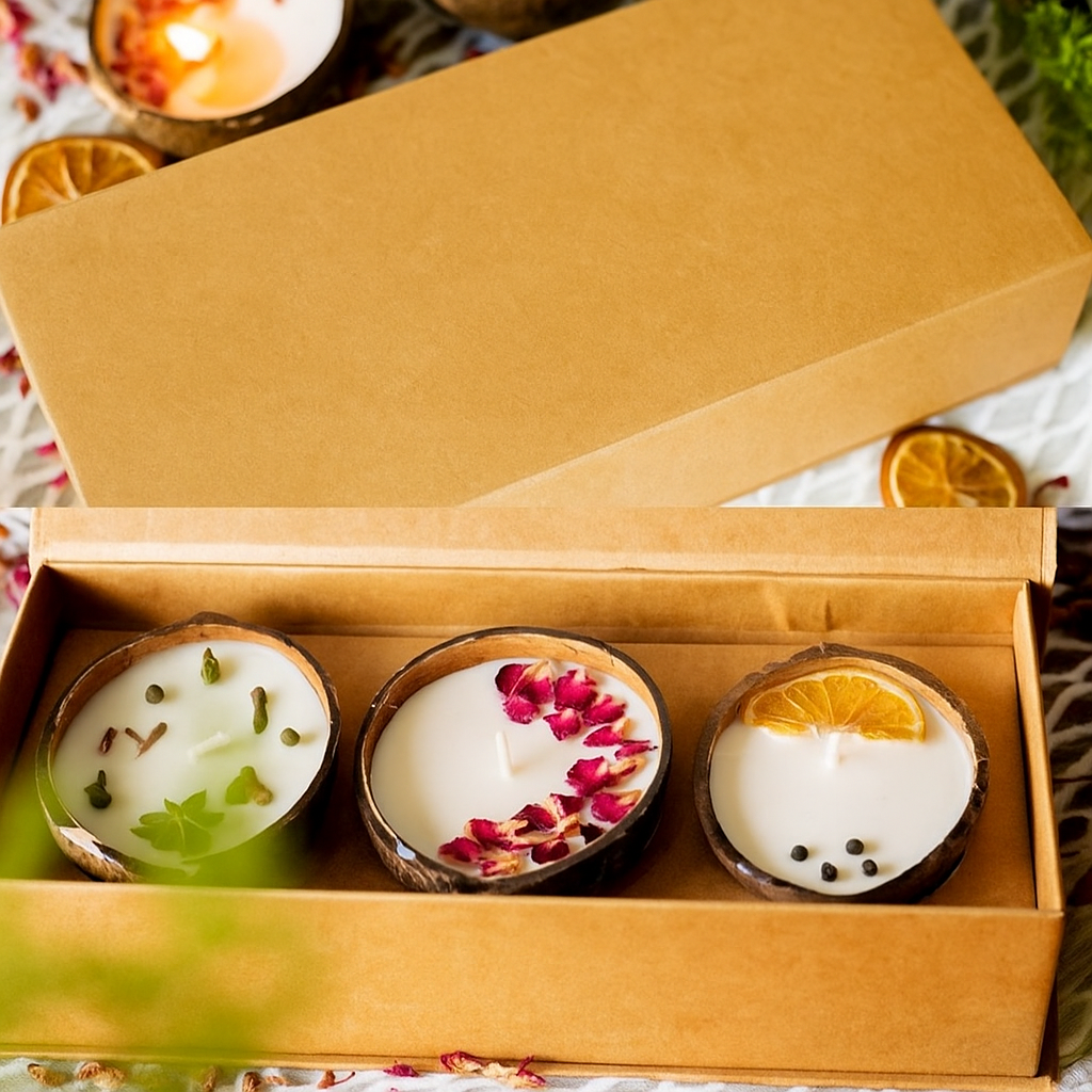 Handcrafted Coconut Shell Candles – Set of 3 (Gift Box)